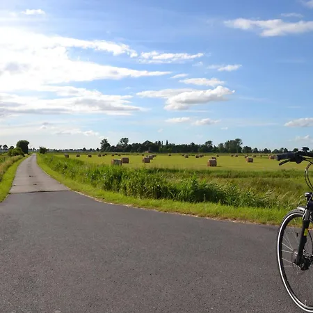 Rotbuche, 25517 * Weener