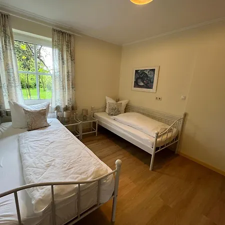 Rotbuche, 25517 Weener