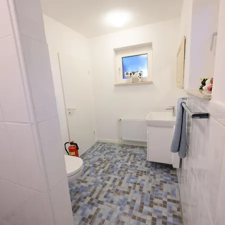 Rotbuche, 25517 * Weener