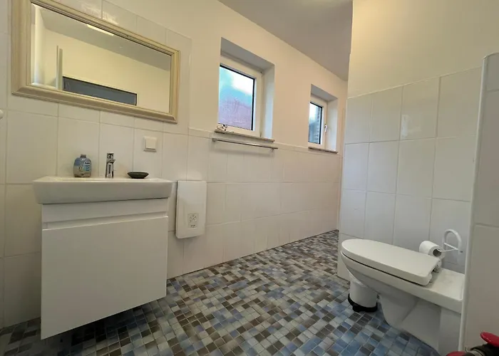 Rotbuche, 25517 Weener