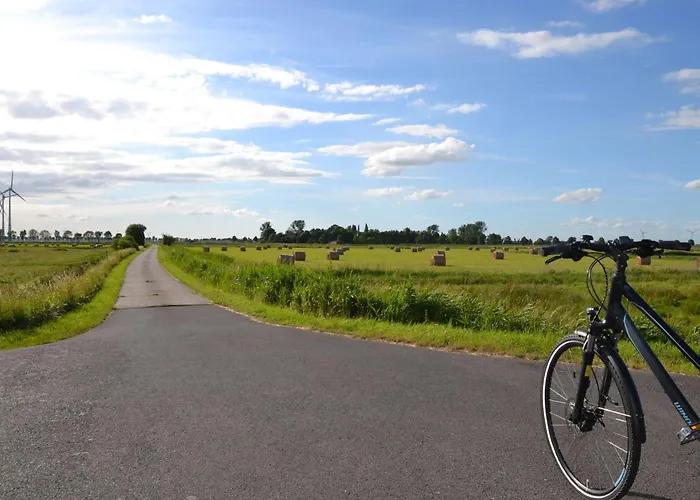 Rotbuche, 25517 * Weener